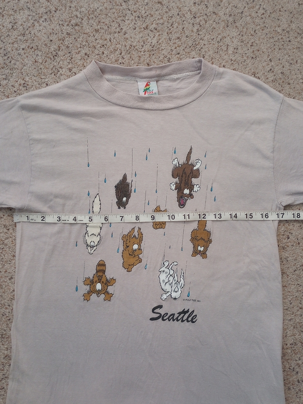 Vintage Single Stitch Seattle Raining Cats And Dogs Shirt - Picture 7 of 10